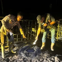 Pemilik Bak Minyak Ilegal Terbakar di Musi Banyuasin Ditangkap