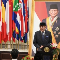 Indonesia dan Singapura Sepakat Bentuk Satgas Tangani Karhutla