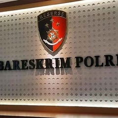 Bareskrim Gagalkan Penyelundupan Benih Lobster di Bintan