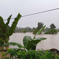 Banjir di Sulawesi Selatan: 14 Meninggal, 1.867 Rumah Terdampak