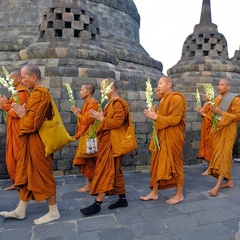 Berjalan Kaki dari Semarang, 43 Biksu Tudhong Tiba di Borobudur