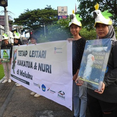 Di World Parrot Day, KKI: Setop Perdagangan Satwa Endemik Maluku