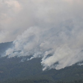 Kondisi Terkini Kebakaran Gunung Lawu & Status Tanggap Darurat