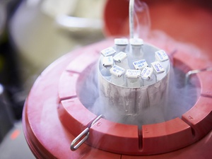 Seluk-Beluk Sewa Rah   im Komersial dan Penyelundupan Sperma