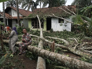 Hujan Lebat Sebabkan Puluhan Pohon Tumbang di Yogyakarta