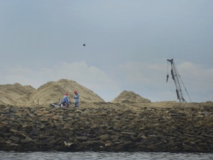 Aktivitas Pembangunan Reklamasi Pulau D