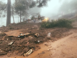 Penyebab Longsor Puncak: dari Tata Ruang hingga Alih Fungsi Hutan