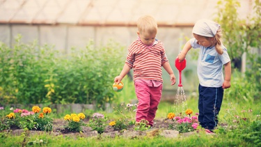 Apa Saja Tahap Perkembangan Kognitif Anak Menurut Teori Piaget