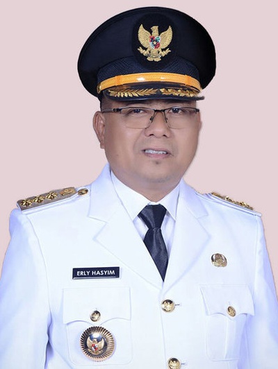 Erli Hasyim