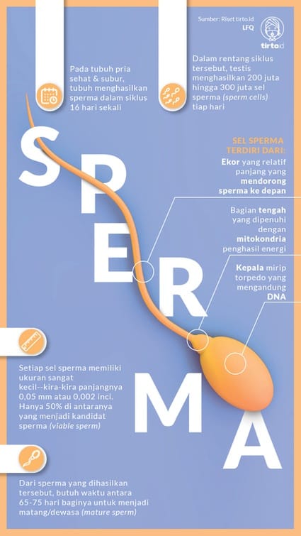 Ular beadablik bilan qizlarni sikishadi