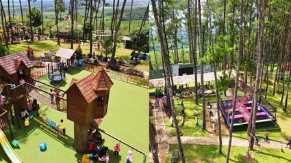 Kemit Forest Cilacap