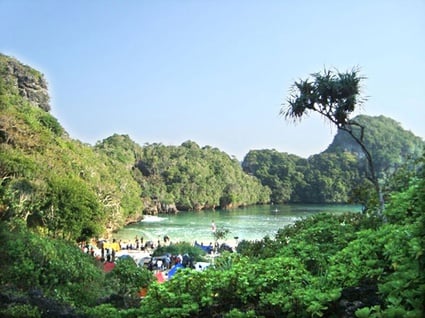 Segara Anakan
