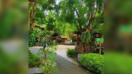 Wisata Edukasi Kampung Kopi Sugara
