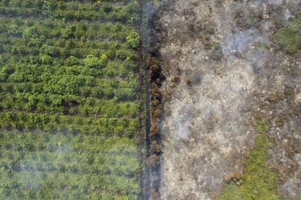 Karhutla hari kelima di Muaro Jambi