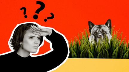 Dogfishing: Menarik Perhatian di Dating App lewat Foto Anjing