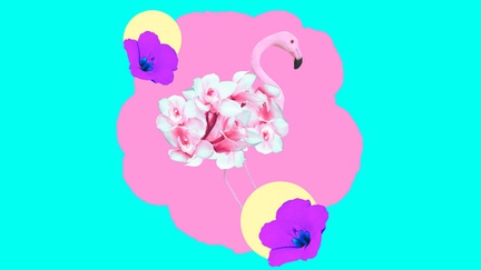 Flamingo Era, Saat Perempuan Belajar Menemukan Dirinya Kembali