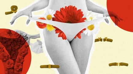 Tubektomi, Metode Kontrasepsi Populer dengan Riwayat Kelamnya