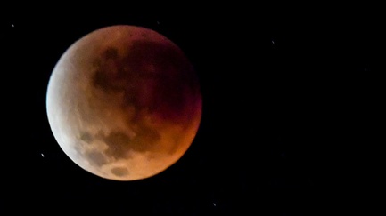 Arti Rizz dalam Bahasa Gaul Gen Alpha yang Viral di Media Sosial