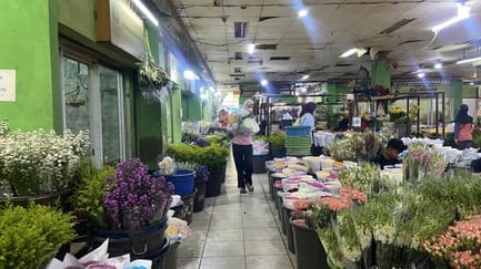 Suatu Pagi di Pasar Bunga Rawa Belong