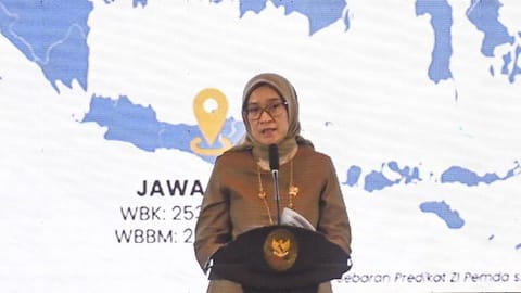 Menpan RB Ungkap Nasib ASN Kementerian BUMN usai Menjadi Badan