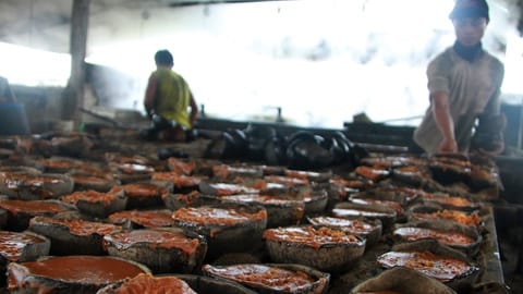 Ketergantungan Impor Gula Mentah & Ancaman bagi Industri Makanan