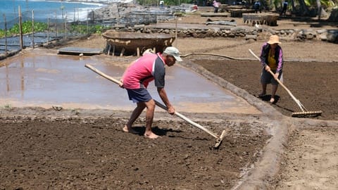 Riwayat Getir Petani Garam Tradisional Dikepung Krisis Iklim