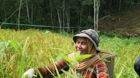 Potret Perempuan Suku Balik Bertahan di Tengah Pembangunan IKN