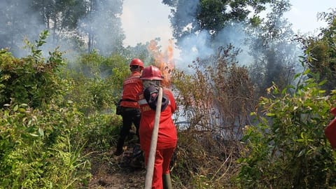 Karhutla di Sumsel Mengancam, Dikhawatirkan Sebesar 2015