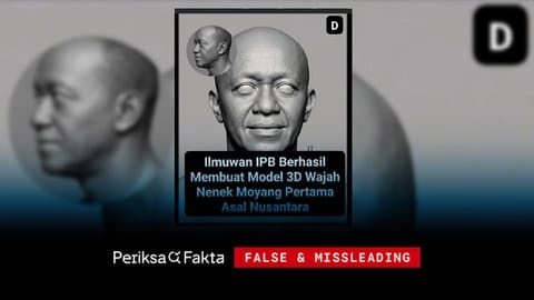Hoaks, IPB Rekonstruksi Wajah Nenek Moyang Purba Nusantara