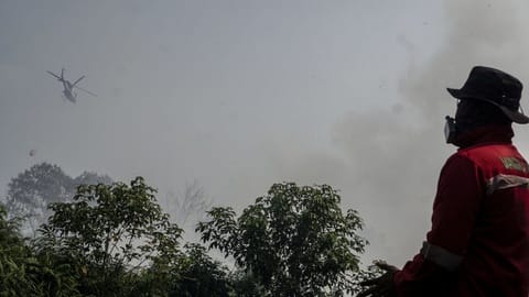 Seberapa Efektif Ide Kemenhut Sewa 12 Pesawat Tangani Karhutla?