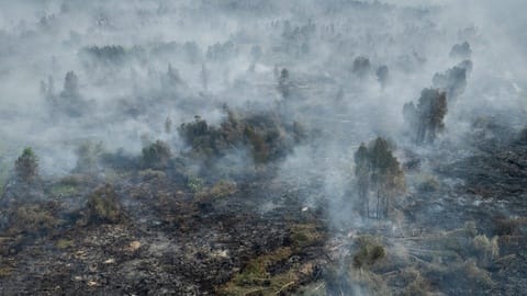 Adu Retorika Kabut Asap: Mengapa Singapura dan RI Saling Tuding?