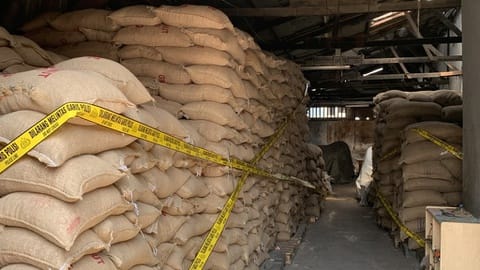 Bahaya di Balik Impor Ilegal 49,85 Ton Kacang Tanah dari India