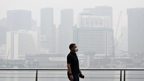 Ribut Indonesia-Singapura soal Karhutla, Gas, & Akses Internet