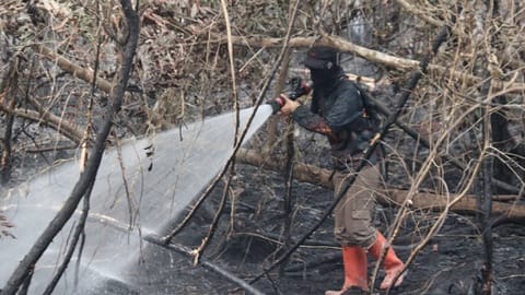 Kisah Nita: Ibu dan Relawan Damkar di Hutan Palangka Raya