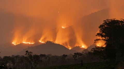 Hidrofobitas, Ketika Tanah di Bekas Kebakaran Lahan Menolak Air