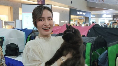 Tren Pehobi Kucing Kontes yang Rela Habiskan Uang Jutaan Rupiah