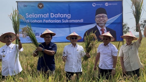 Zulhas Sebut Bibit Padi Unggul Mampu Dongkrak Produksi Beras