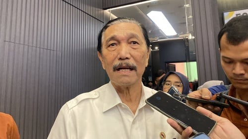 Luhut Ingin Danantara Diisi Orang Profesional