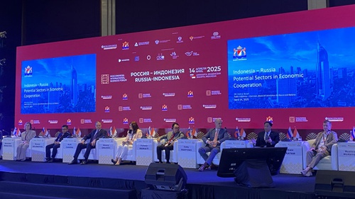 Indonesia Berpotensi Kerja Sama di 3 Sektor Ekonomi dengan Rusia