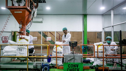 Danantara Akan Gelontorkan Rp1,5 Triliun untuk Beli Gula Petani