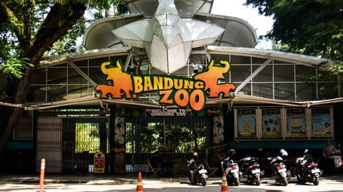 Minggu Tak Biasa di Bandung Zoo