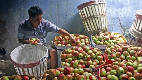 Pangan Lokal di Hadapan Pangan Impor