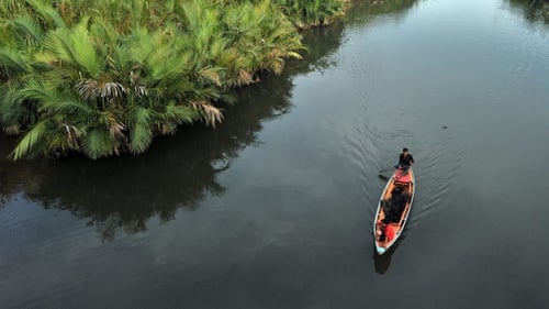 Pangan Alternatif Ada di Hutan Mangrove