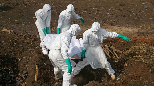 virusi ebola cum să elimini papilomele de pe pubis
