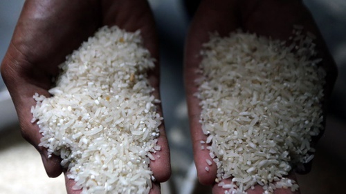 Proses perubahan beras menjadi nasi