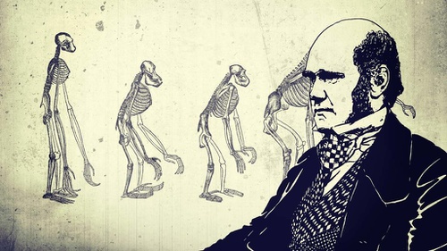 Menghujat Dan Memuja Teori Evolusi Darwin Tirto Id