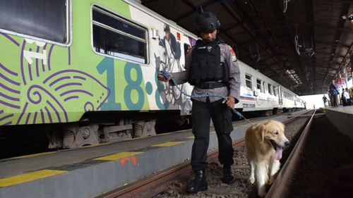 Syarat Daftar Cpns 2018 Bnn Lulusan Sma Untuk Pawang Anjing