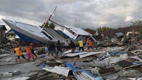 Daftar Riwayat Hidup Bnpb - SuratMenyurat.net