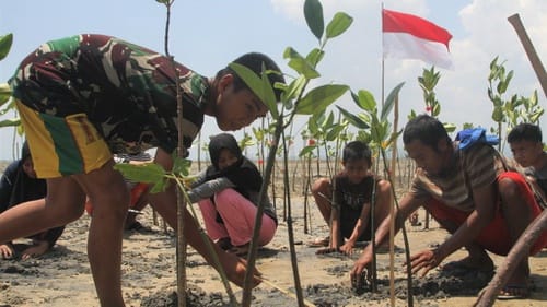 Hari Lembaga Sosial Desa 5 Mei Profil Dan Daftar Lsd Di Indonesia Tirto Id