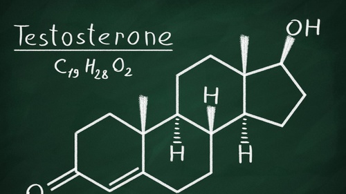 Hormon makna Sistem Hormon
